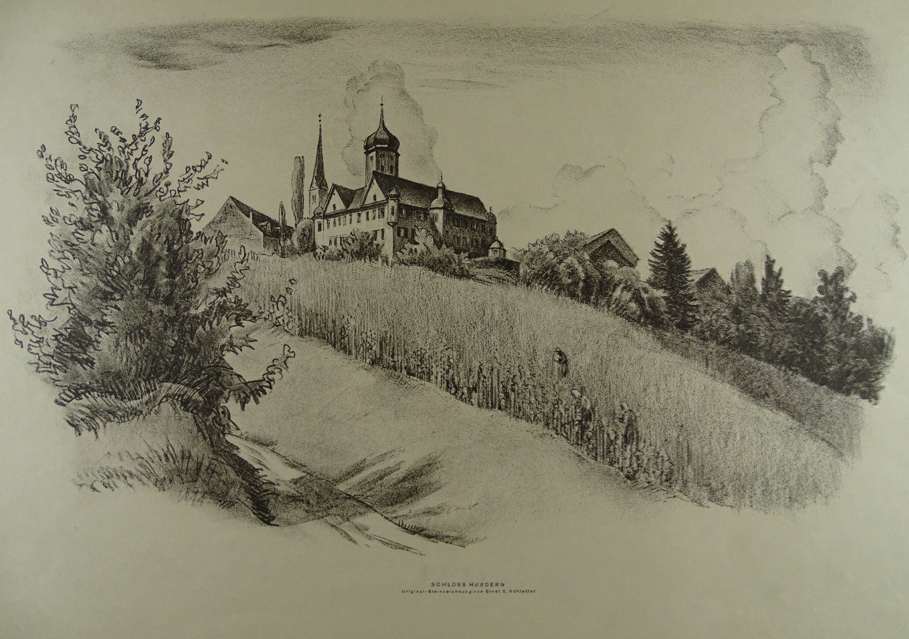 Grafica & Litografie: SCHLOSS HERDERN, LITHO V. E.E. SCHLATTER – Usato da Grüningen venduto da Kartensammler