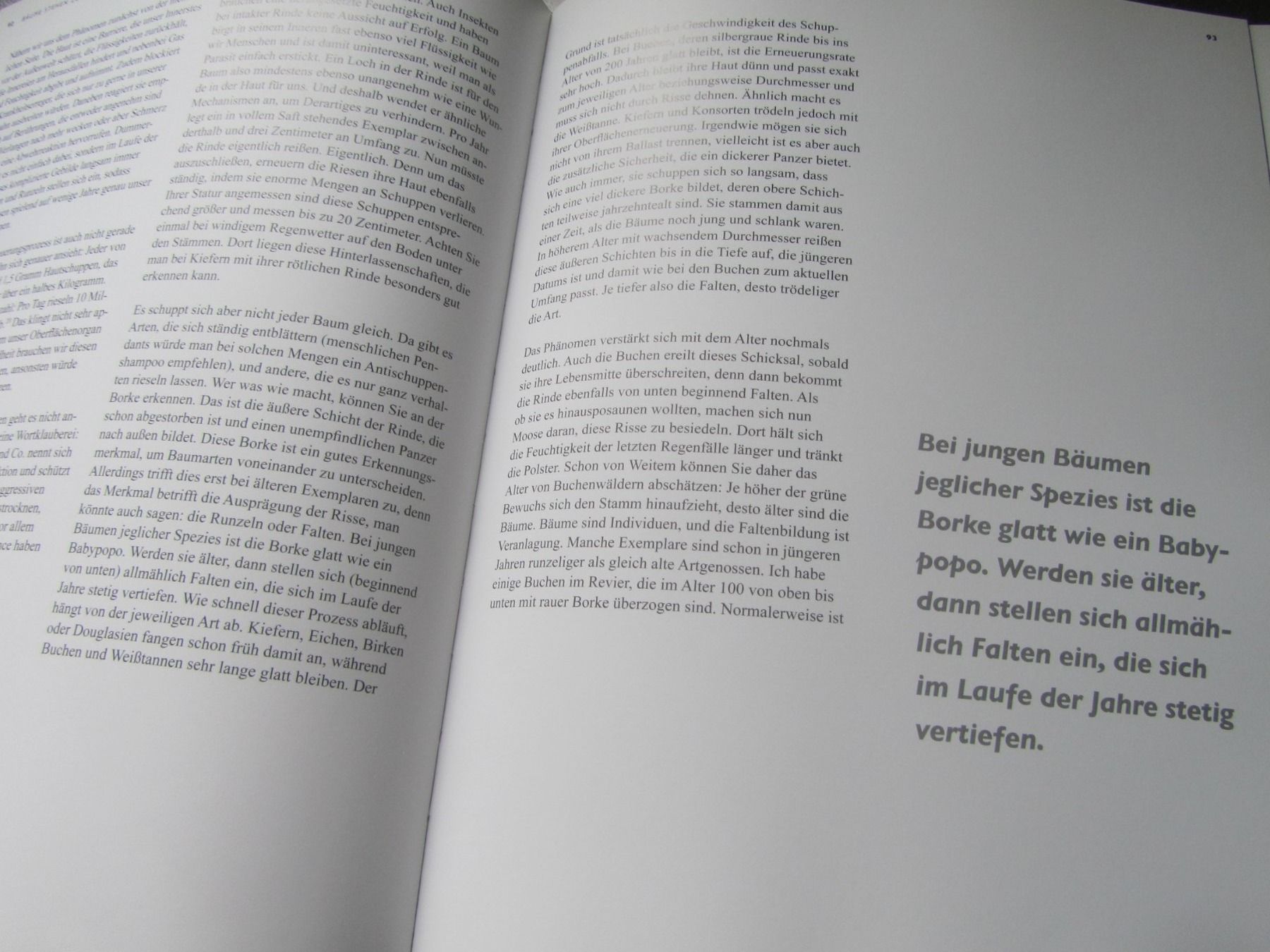 Bücher: Das geheime Leben der Bäume  - Peter Wohlleben – Gebraucht aus Seengen von  6