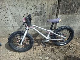 Early Rider Seeker 14"