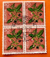 Nr.J 249 Pro Juventute GESTEMPELT Heiden 1974  