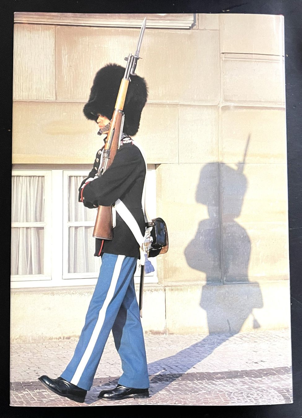 Libri: Silva Verlag, Dänemark, 1993 – Usato da Oftringen venduto da Vucki 5