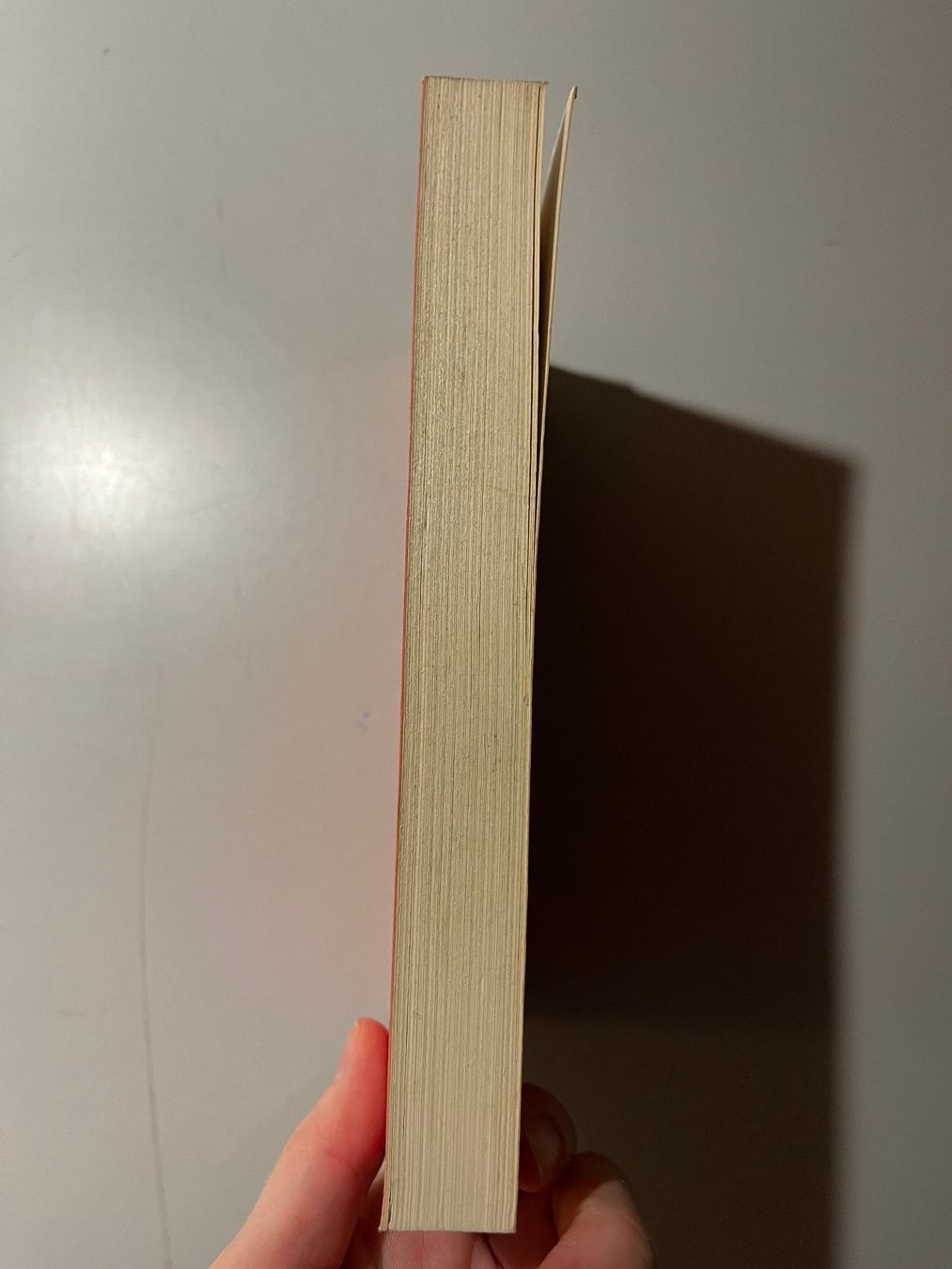 Libri: K. O. Schmidt: Du bist begabter als du ahnst – Usato da glattfelden venduto da kimiaxel 2