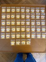 Integral Equipes Panini World Cup 2026