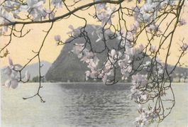 Lugano Monte S.Salvatore TI