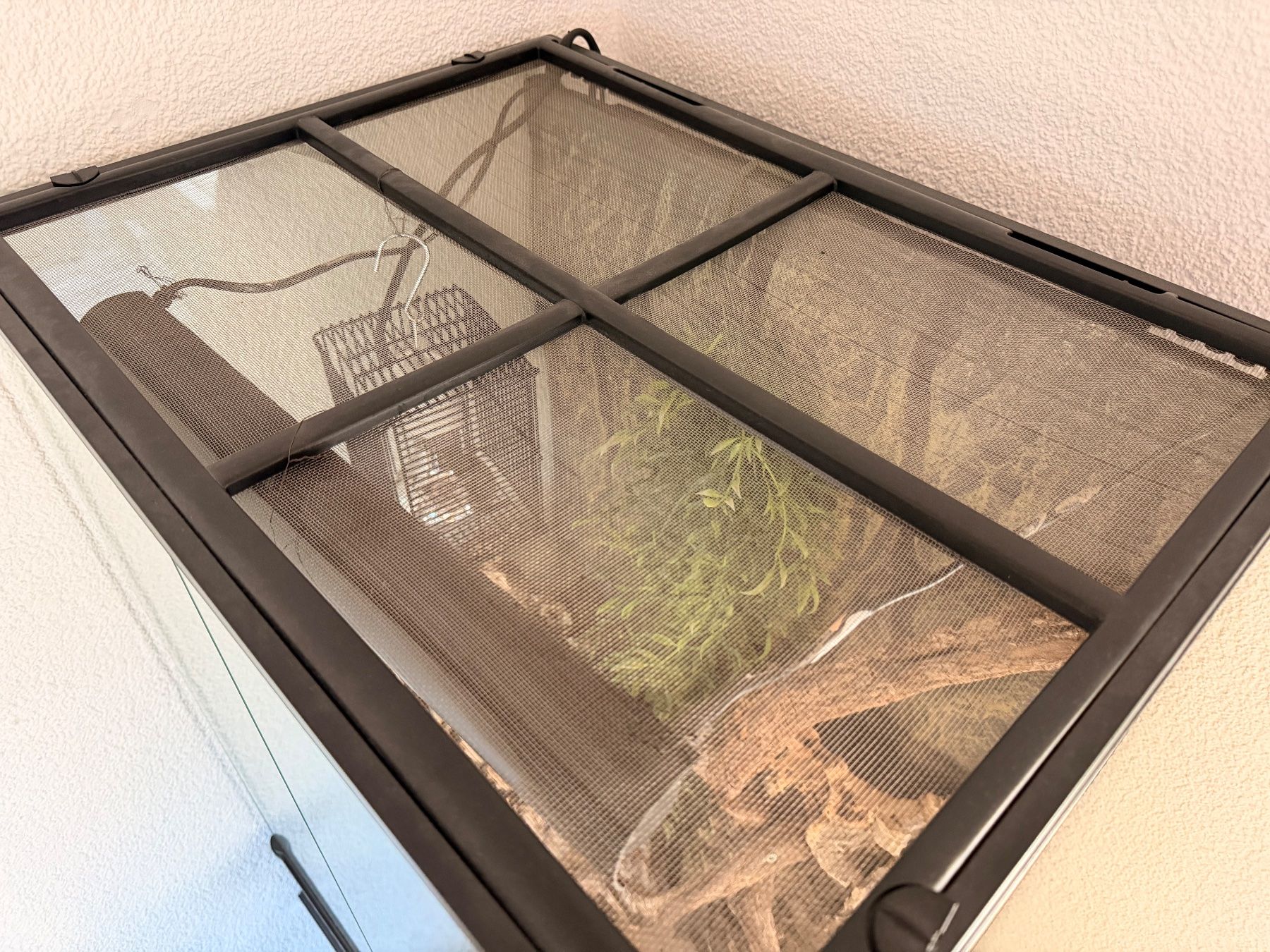 Exo terra Terrario: Terrarium – Usato da Münsingen venduto da Fullspeed0 1