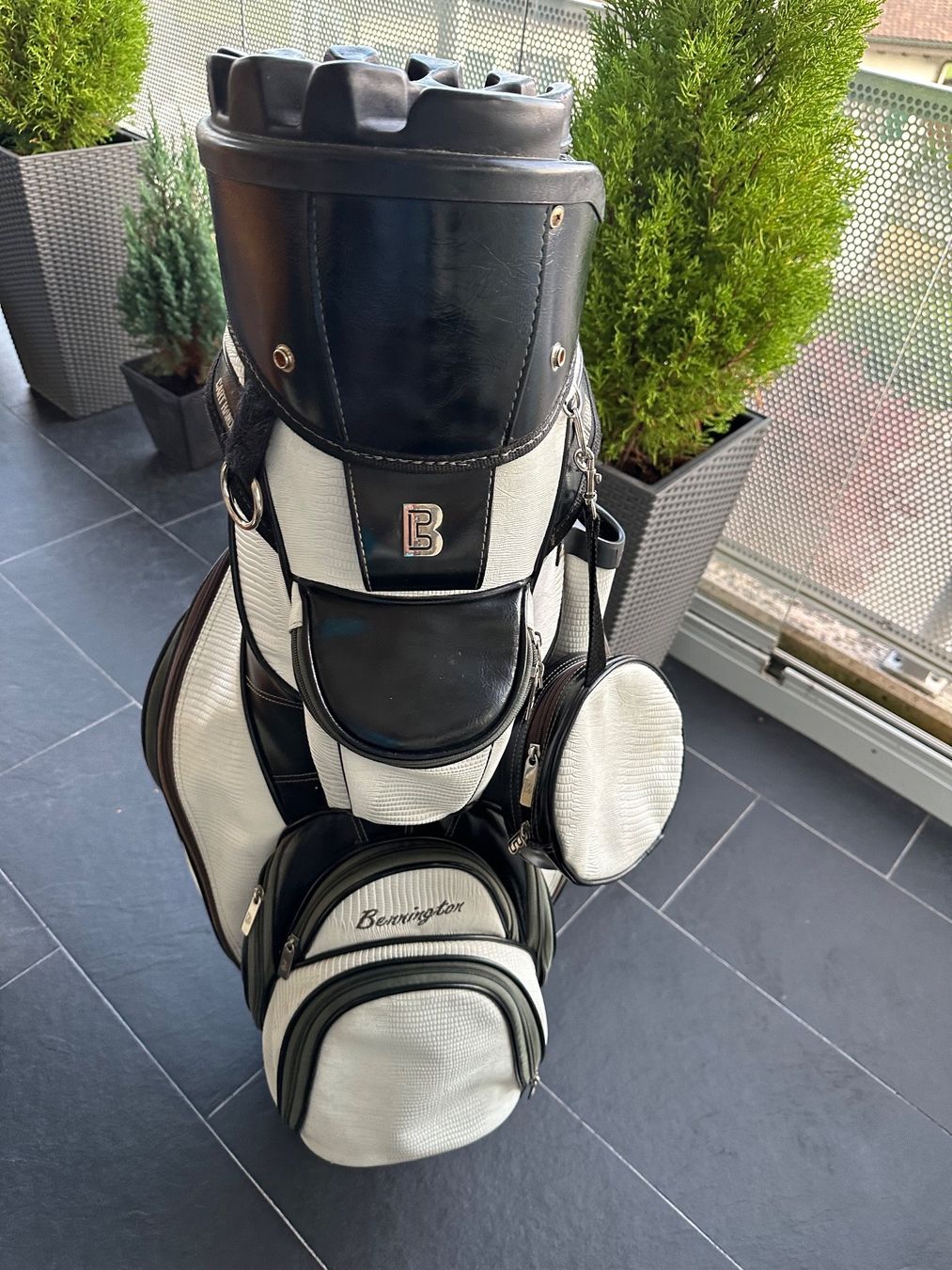 Taschen: Golfbag – Gebraucht aus Oberlunkhofen von  3