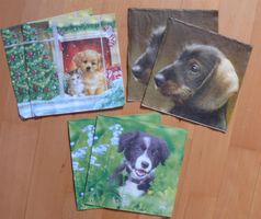 Hunde Servietten (3 Motiv- je 2x)  D10 - (Basteln & Sammeln)
