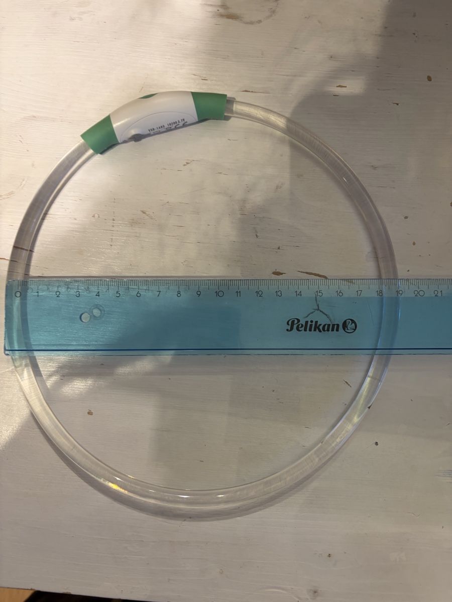 Abbigliamento: Leuchtendes Halsband – Nuovo (secondo la descrizione) da Wangen b. Olten venduto da oli_f9b8 3