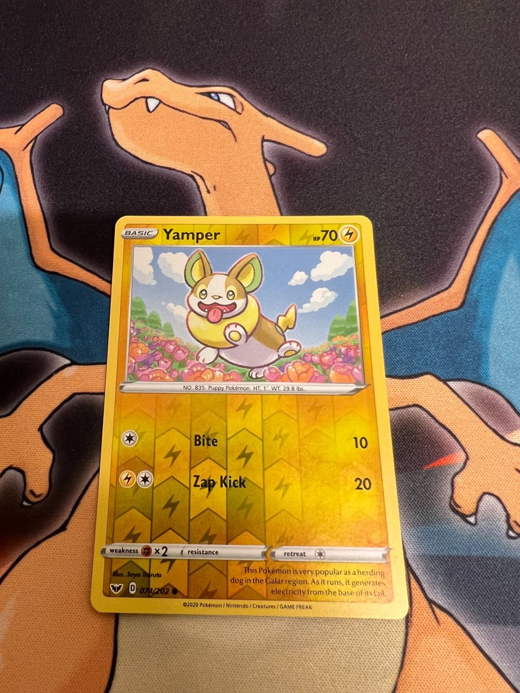 Pokémon Sammelbilder & Trading cards: Yamper (SSH 74) - Reverse Holo - Sword & Shield – Neu (gemäss Beschreibung) aus Bülach von Pfrenzel