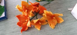 Kürbisblüten