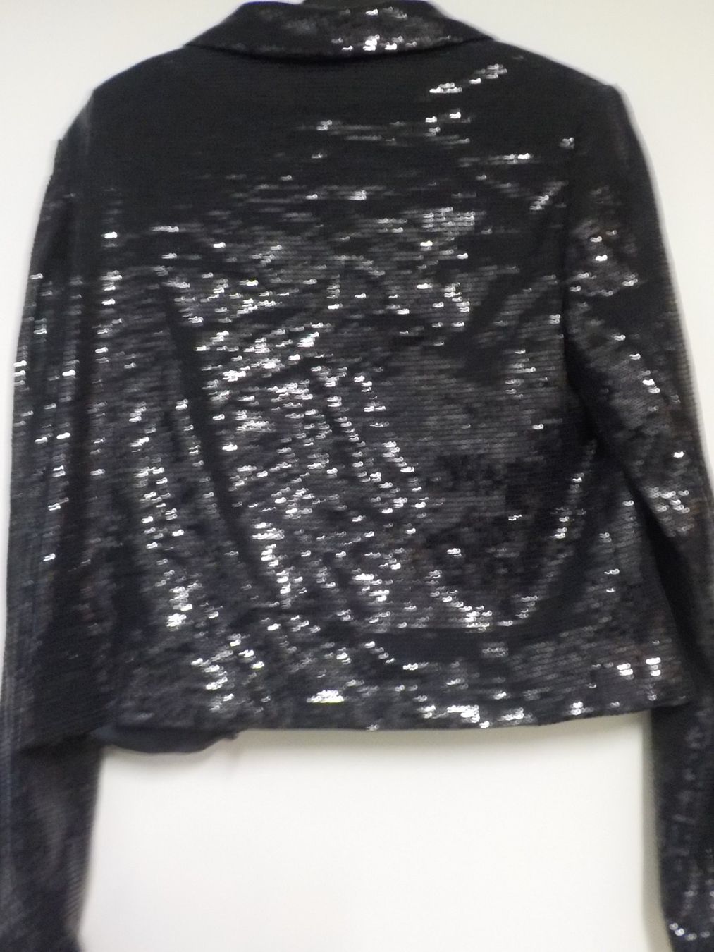 Giacche: Paillettenjacke (36 – Nuovo (secondo la descrizione) da Muri b. Bern venduto da Silberdolphin 1