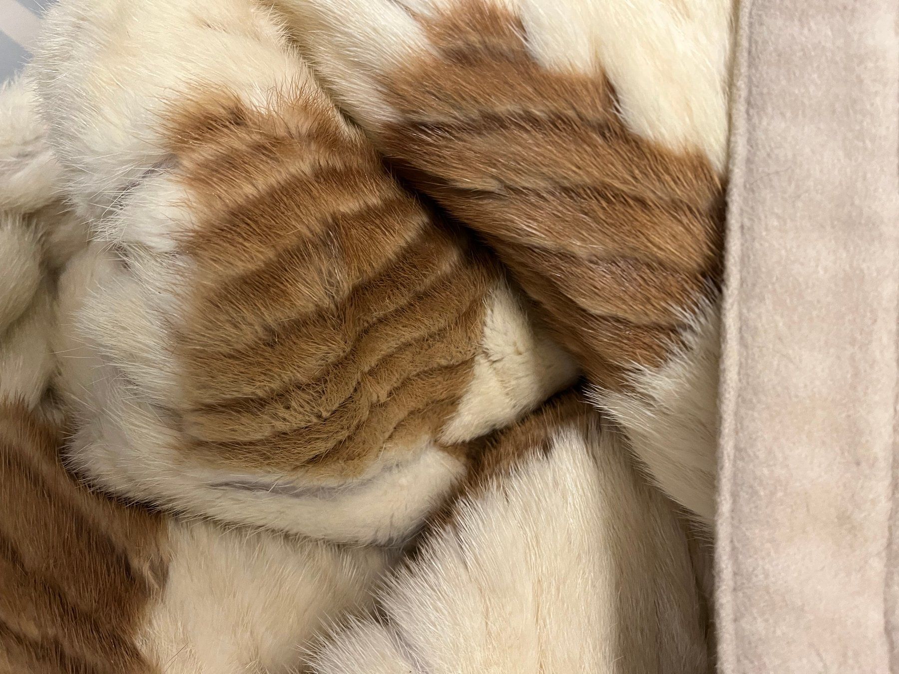 Coperte: Felldecke 225/130cm – Usato da Basel venduto da Lancer4 6