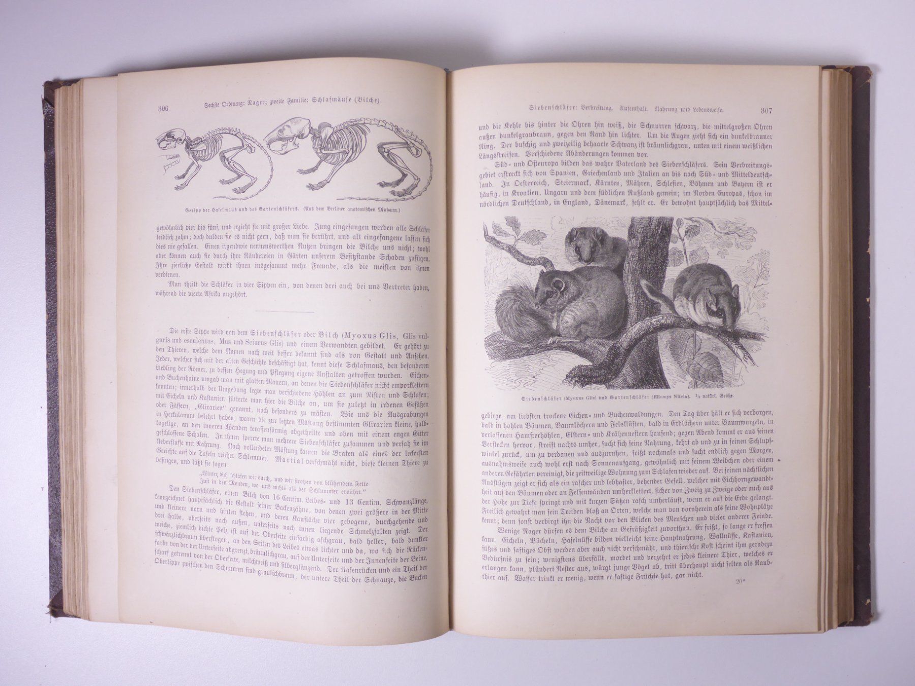 Libri: Brehms Thierleben (Tierleben) 3 Bände. – Usato da Erschwil venduto da taglang 5