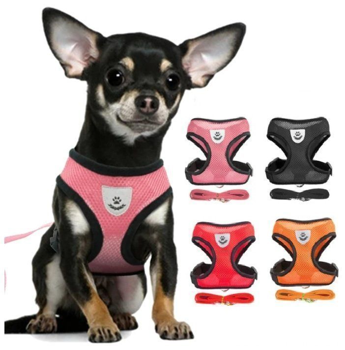 Abbigliamento: Welpen HUNDE Katze GESCHIRR – Nuovo e nell'imballaggio originale da Uerkheim venduto da Kaufoption