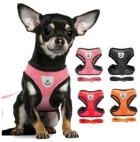 Welpen HUNDE Katze GESCHIRR