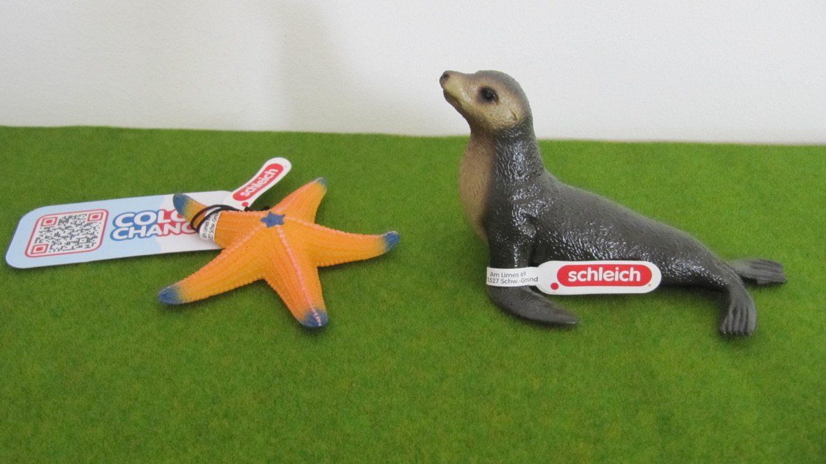 Schleich Spielzeuge: Schleich Seelöwe und Seestern,  NEU – Neu (gemäss Beschreibung) aus Brunnen von Kiwiland1