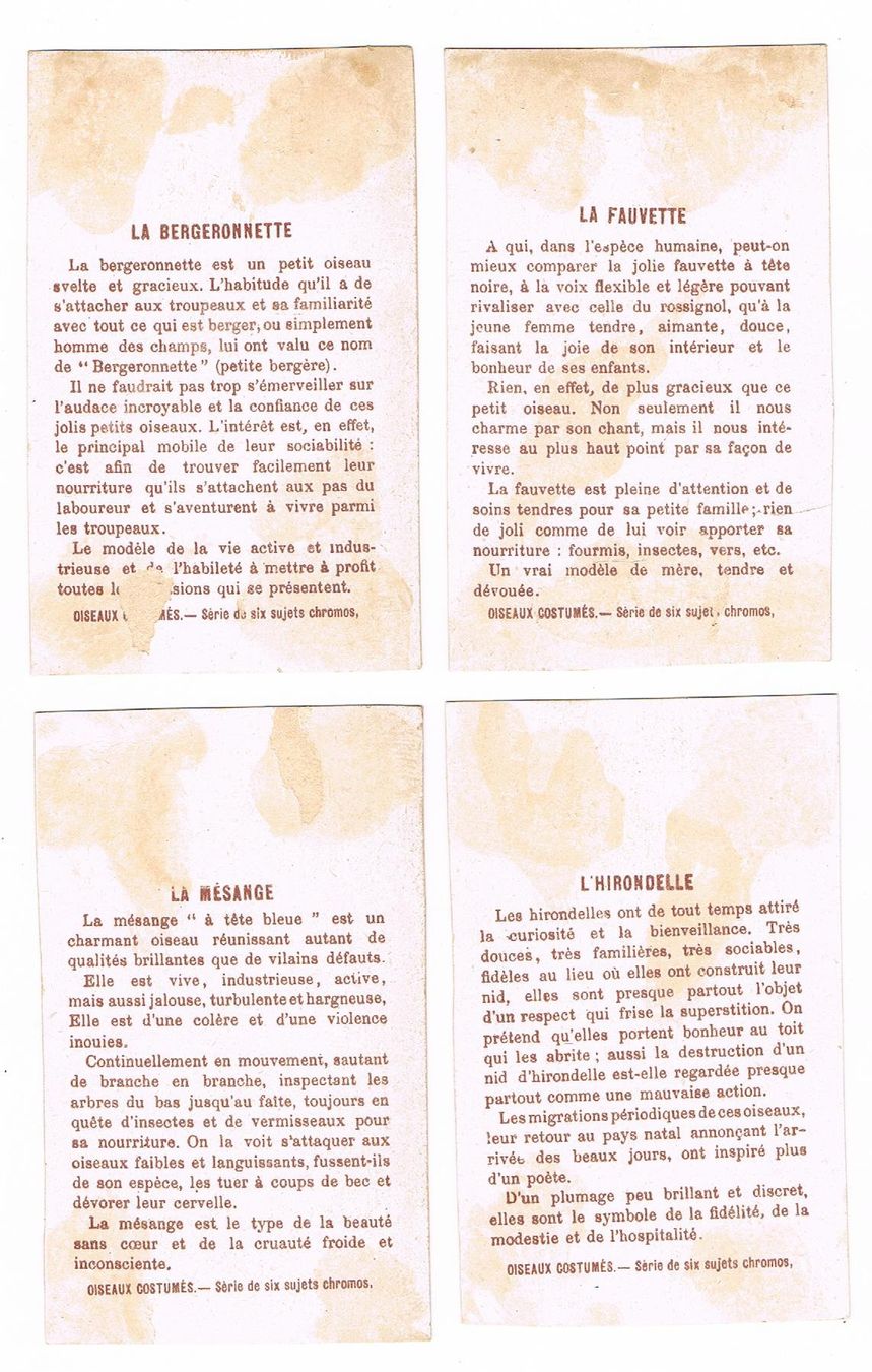 Cartoline postali: Cartes - Chromo – Usato da Genève venduto da edelweiss1900 5