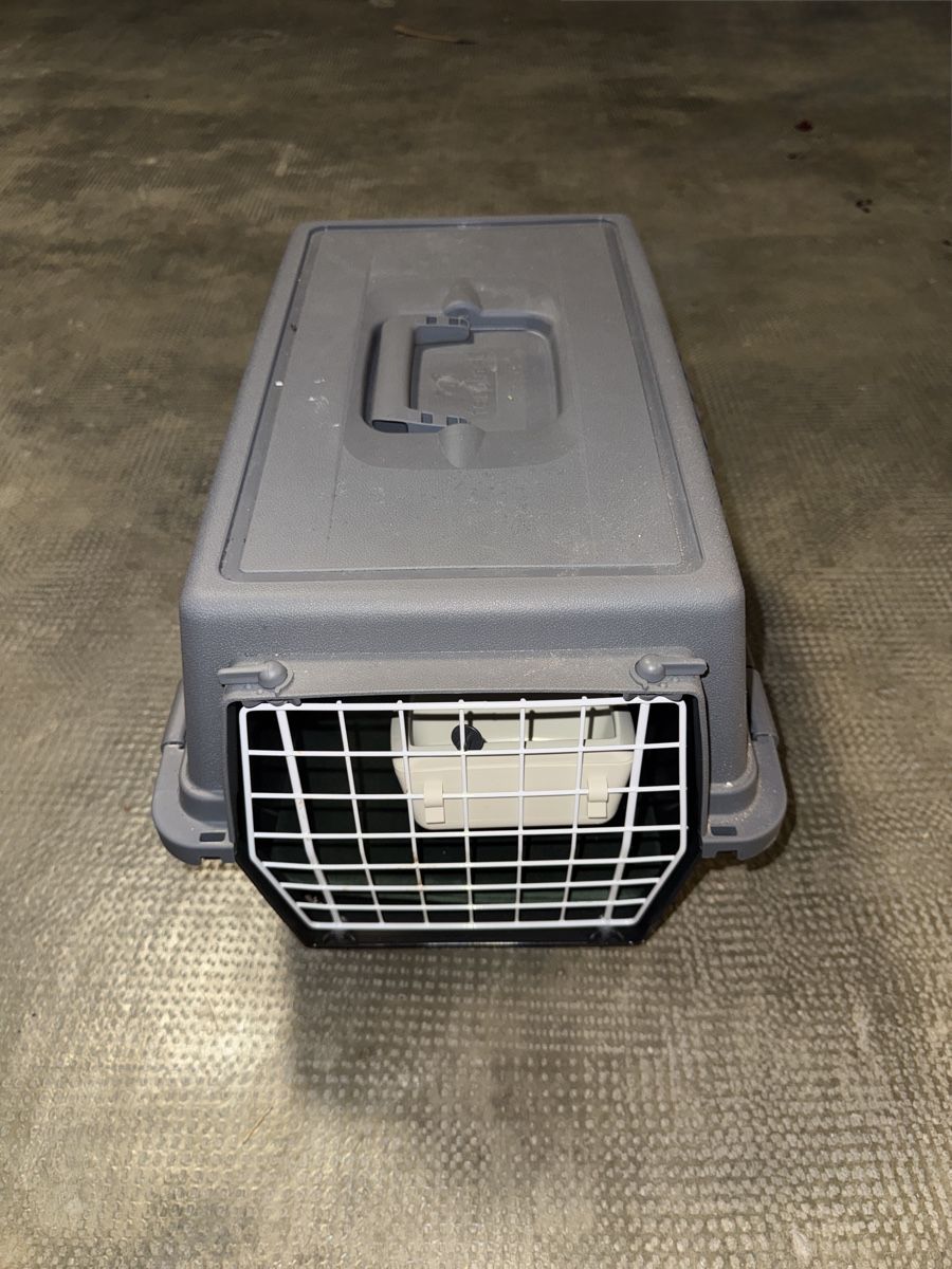 Gabbie, trasporto & Sicurezza: Katzen box – Nuovo (secondo la descrizione) da Muttenz venduto da akb_dys7 1