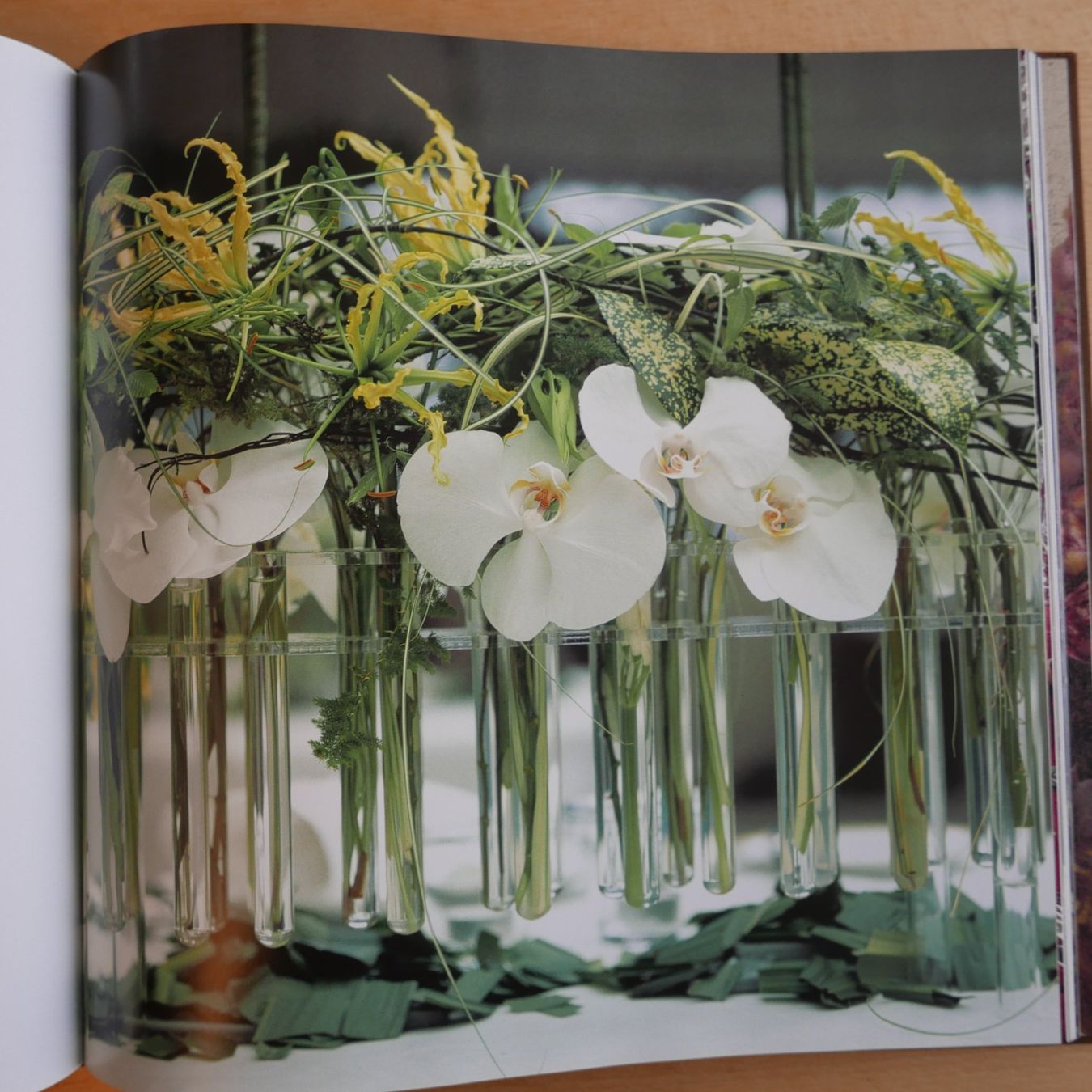 Livres: Blumenträume  einmalig  33.5 x 33.5 cm – D'occasion à Rotkreuz par nigal 6