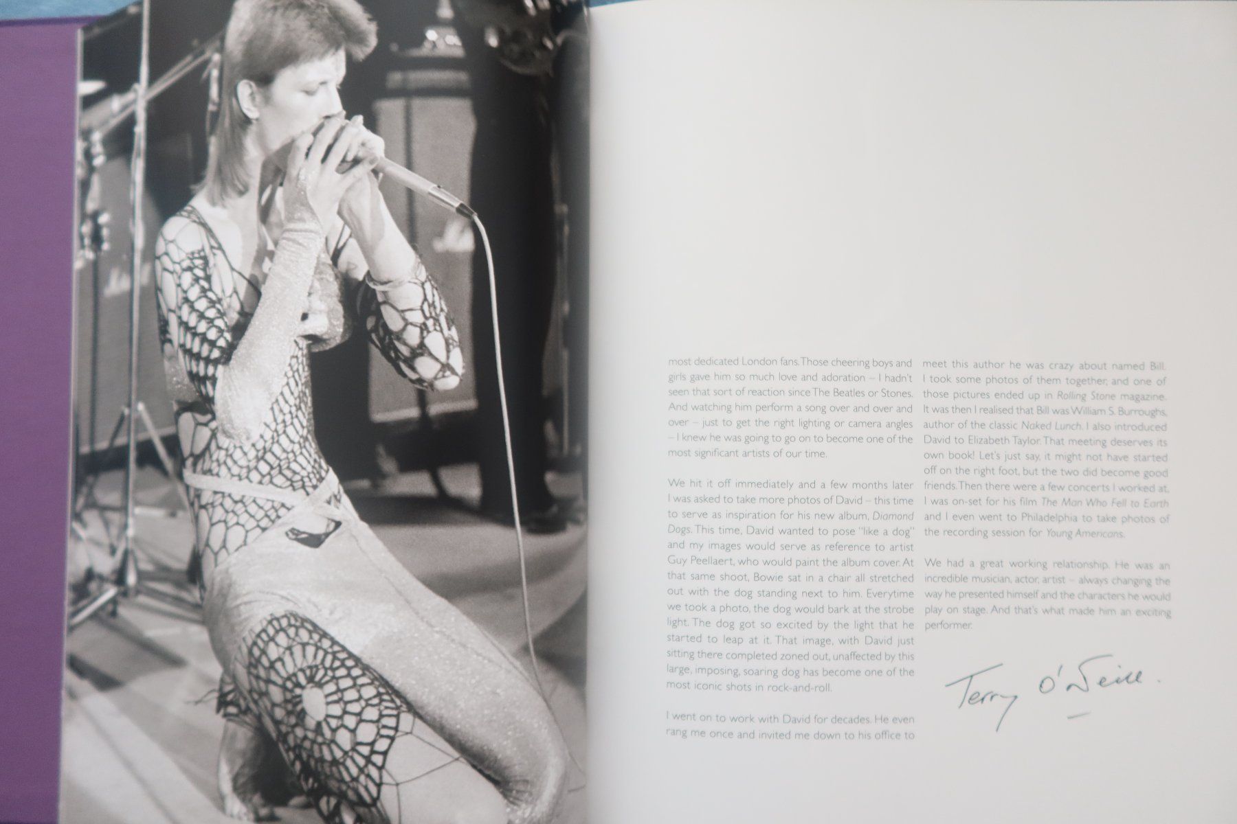 Libri: David Bowie - Marquee 1973 – Nuovo (secondo la descrizione) da Chur venduto da zowie72 5