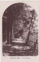 Bern, Dählhölzli, am Waldrand, gelaufen 1930
