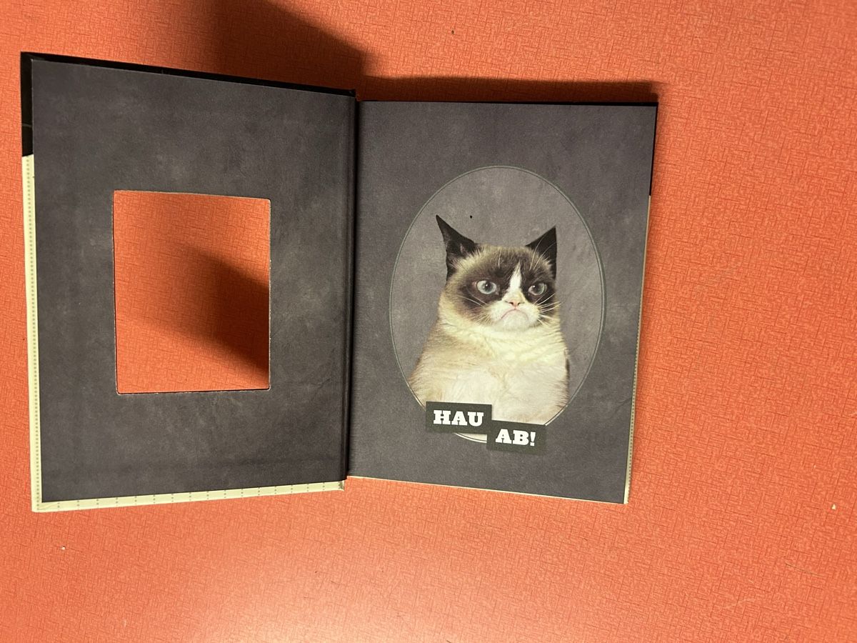 Libri: Grumpy Cats Grumpy Guide to Life Buch guter Zustand – Usato da Lanzenhäusern venduto da vic63 1