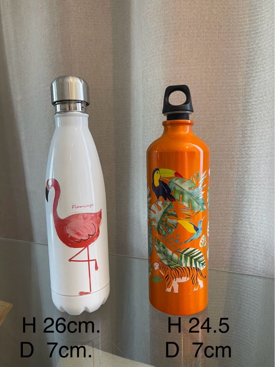 Borracce & Thermos: 2 Trinkflaschen, wiederverwendbar – Usato da Rheineck venduto da FGeissler