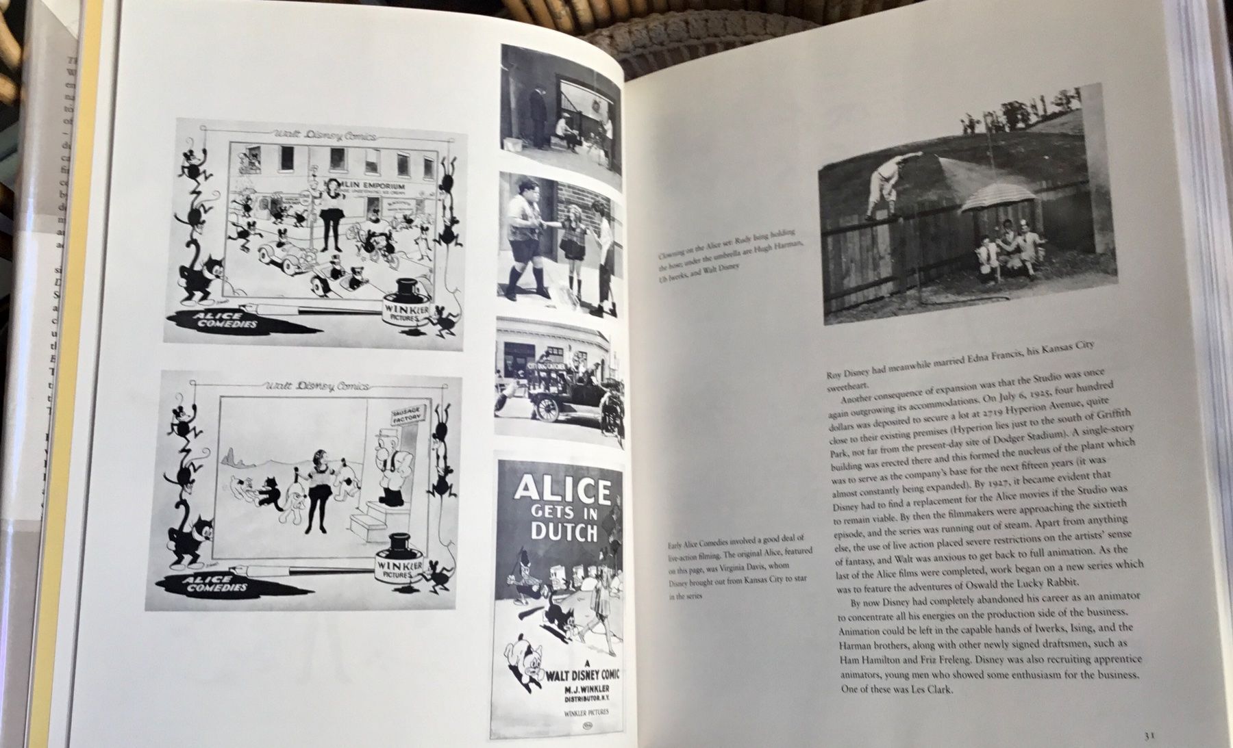 Libri: Walt Disney Buch – Usato da Schlieren venduto da Jeajet 5