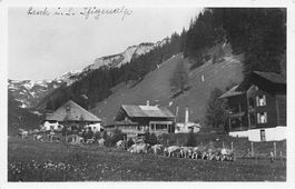 Lenk