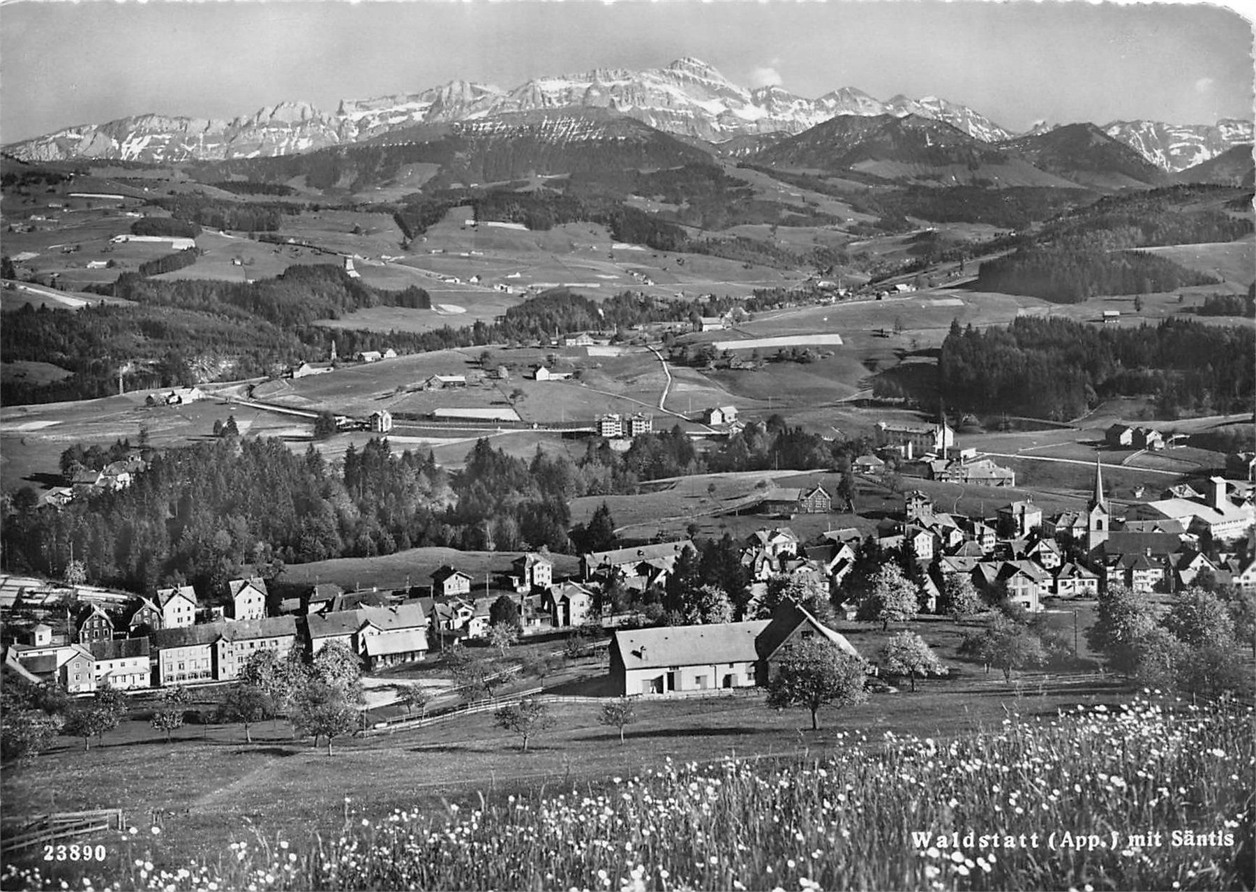 Ansichtskarten: Waldstatt mit Säntis – Gebraucht aus Ottikon b.Kemptth. von Neptun1974