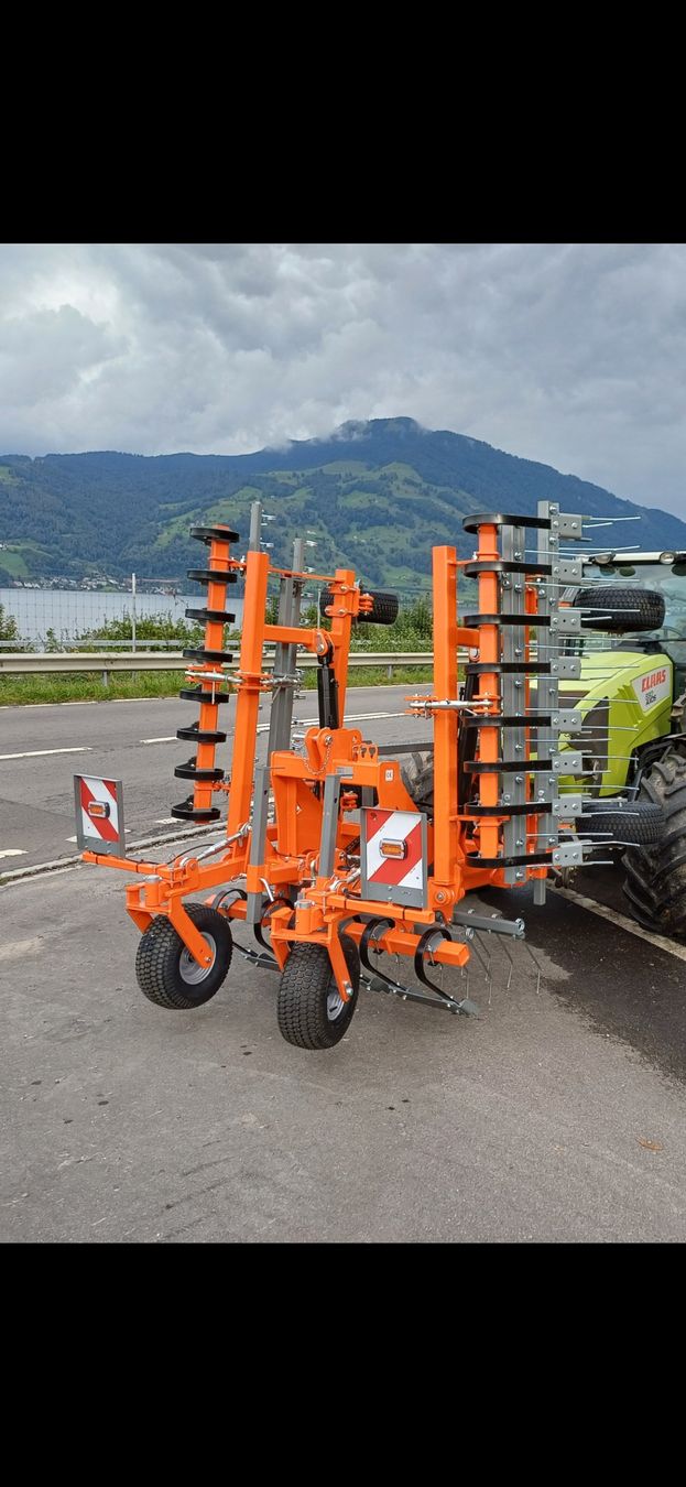 Tutte le macchine: Striegel Wiesenstriegel – Nuovo (secondo la descrizione) da immensee venduto da Thsch1 1