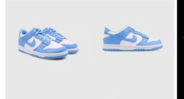 Nike dunk low blue size 42.5