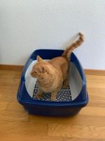 AniOne Katzentoilette Katzen WC Siebsystem Neupr. 30,- CHF