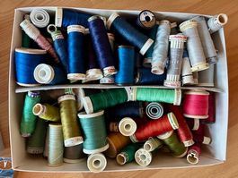 Elna 6003 Nähmaschine "Quilter's Dream" & ganz viel Zubehör