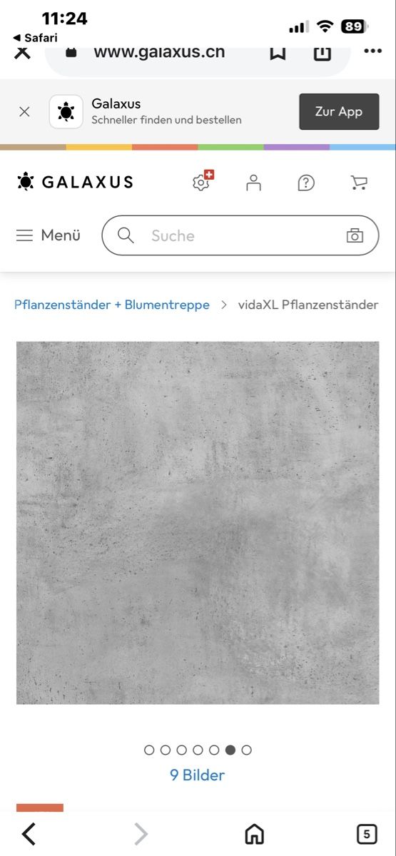 Altro per la casa: Pflanzensäule grau 2 stk neu – Nuovo e nell'imballaggio originale da Niederried b. Kall venduto da NicoleS25 2