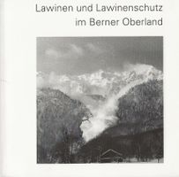 Lawinen und Lawinenschutz im Berner Oberland
