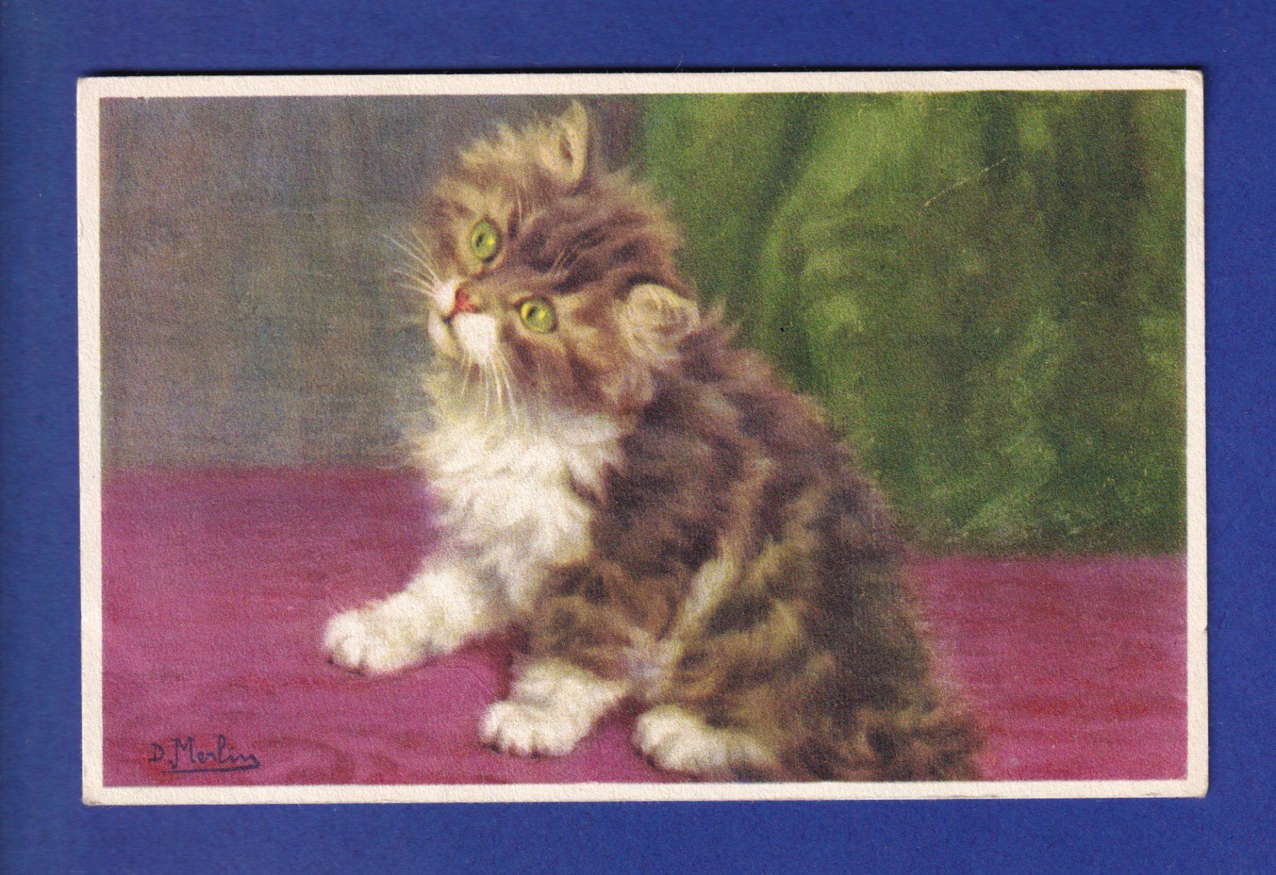 Cartoline postali: CHAT - Chaton aux yeux verts - D. Merlin – Usato da Pully venduto da nicecards-shop