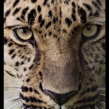 Profile image of sacha_rtb