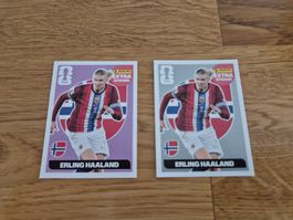 Panini extra sticker