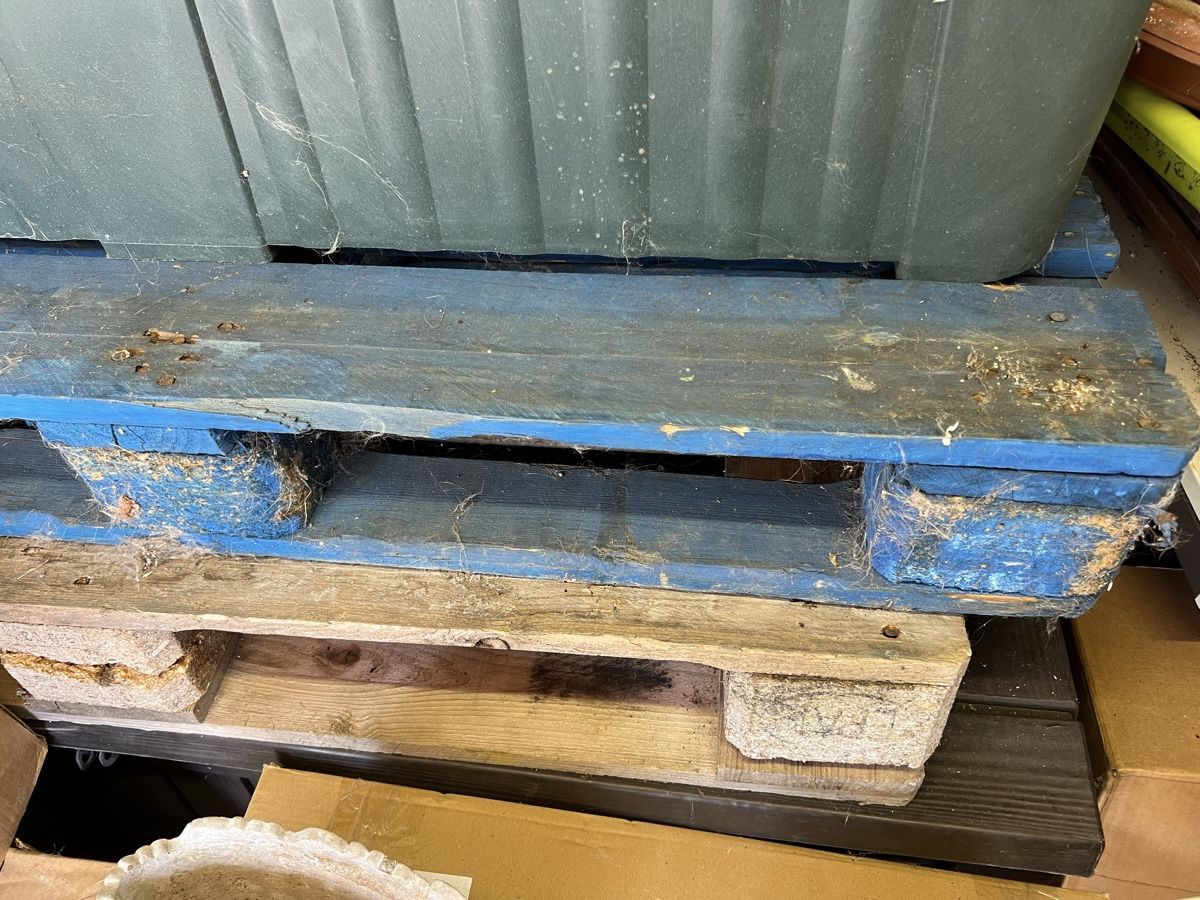 Pallets: Europaletten 2 Stk   – Usato da Huttwil venduto da luk_9tdh