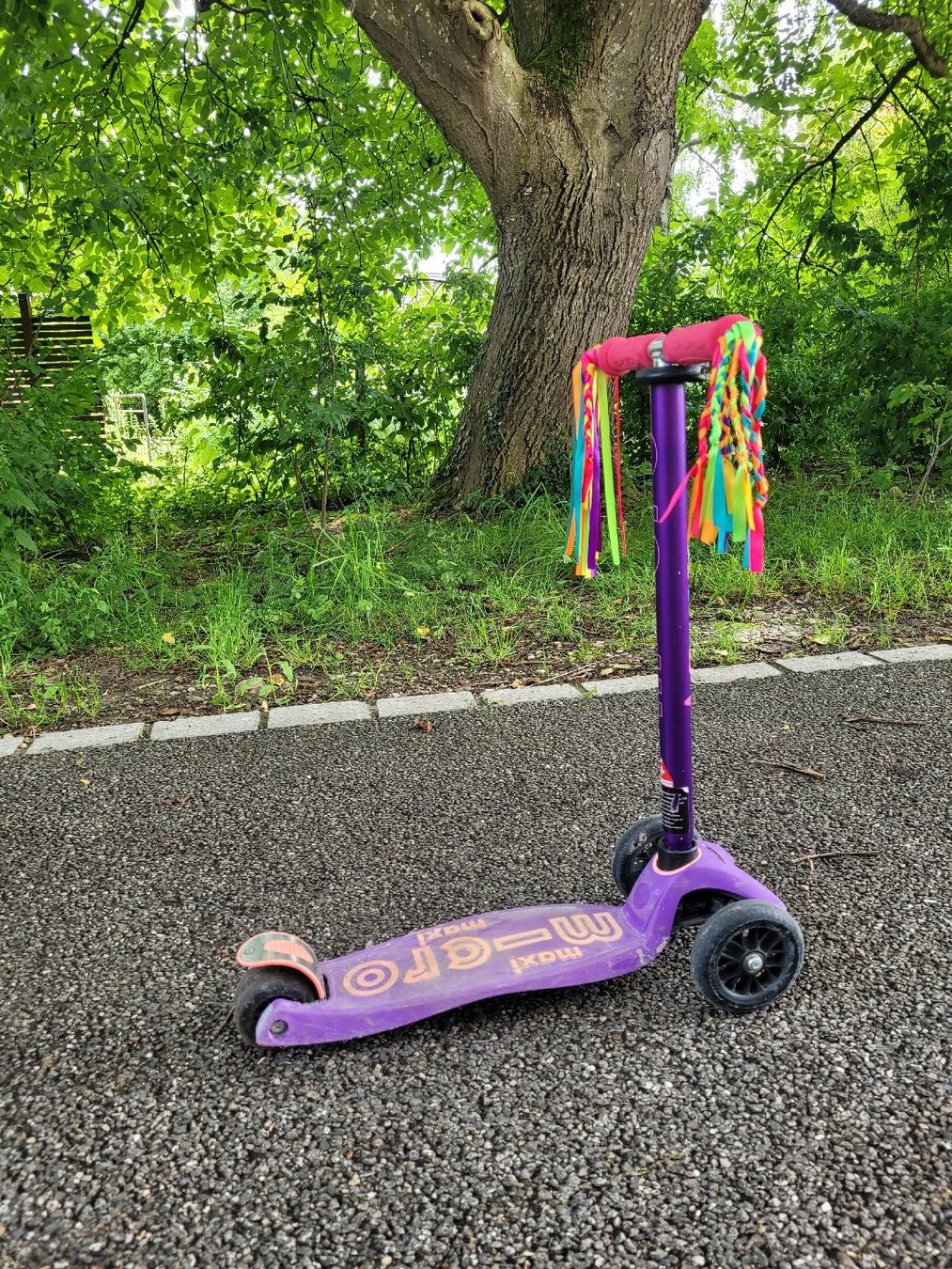 Micro Kickboard: Micro Maxi Trottinette – Usato da Solothurn venduto da Hermine9