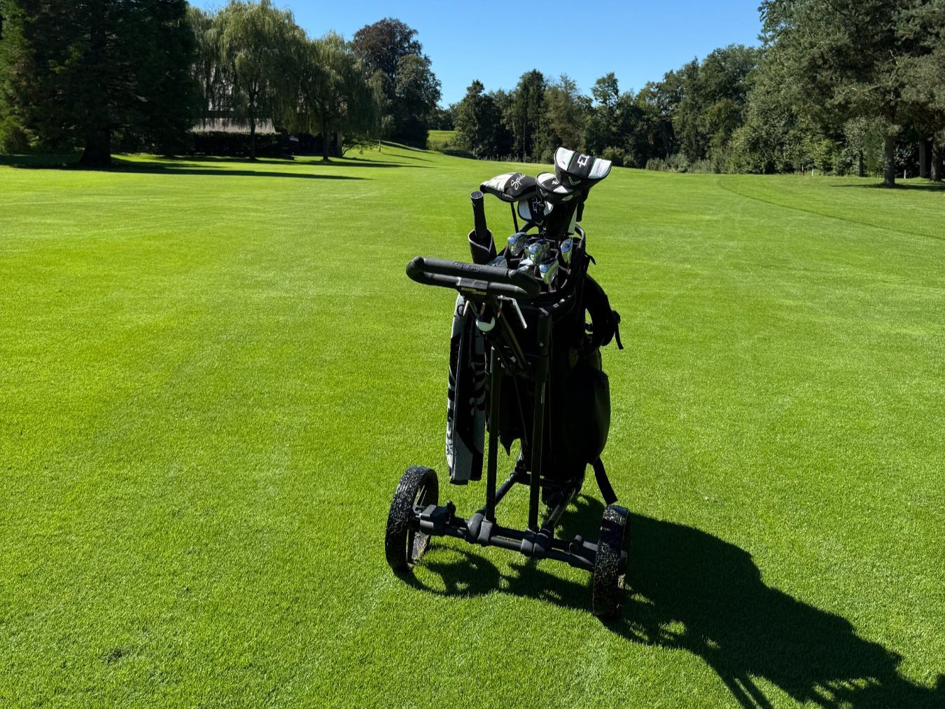 Trolley: Golf Trolley - Flat Cat Push (Gebraucht) – Usato da Bern venduto da trademade92 2