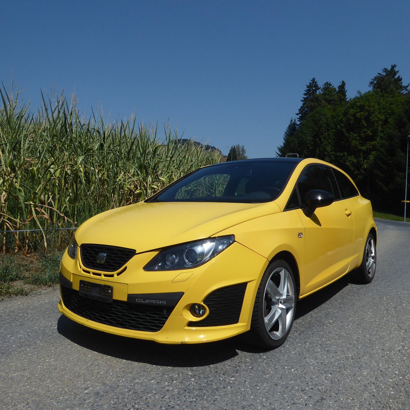 Seat Automobili: Seat Ibiza Cupra FR – Usato da Gebertingen venduto da freaks02