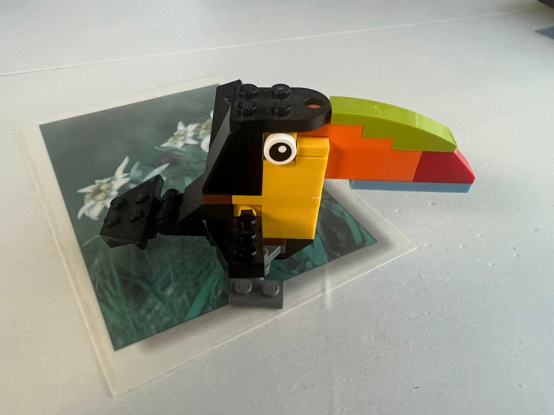 Lego Kit di costruzioni: Ourson et Toucan Lego 31019 – Usato da Muraz (Collombey) venduto da ale_mwc9 2