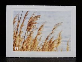 MIGROS MANIA Nature Detectives Nr. 11