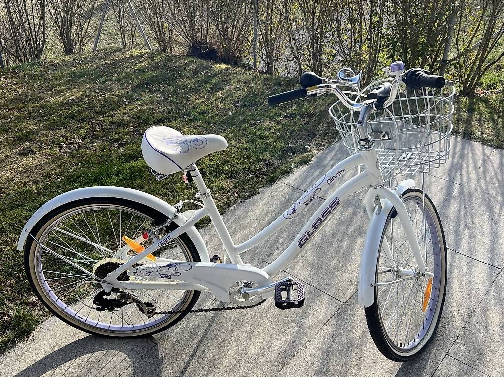Biciclette: Vélo 20 pouces GIANT Gloss – Usato da Fribourg venduto da pas_bls2