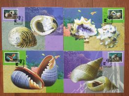 Thailand - Singapore Muscheln Maximum Cards