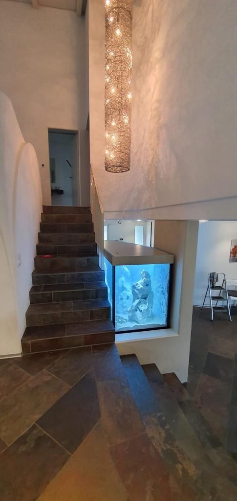 Acquari: Aquarium 1600 Liter – Nuovo (secondo la descrizione) da Berikon venduto da fischundart 2