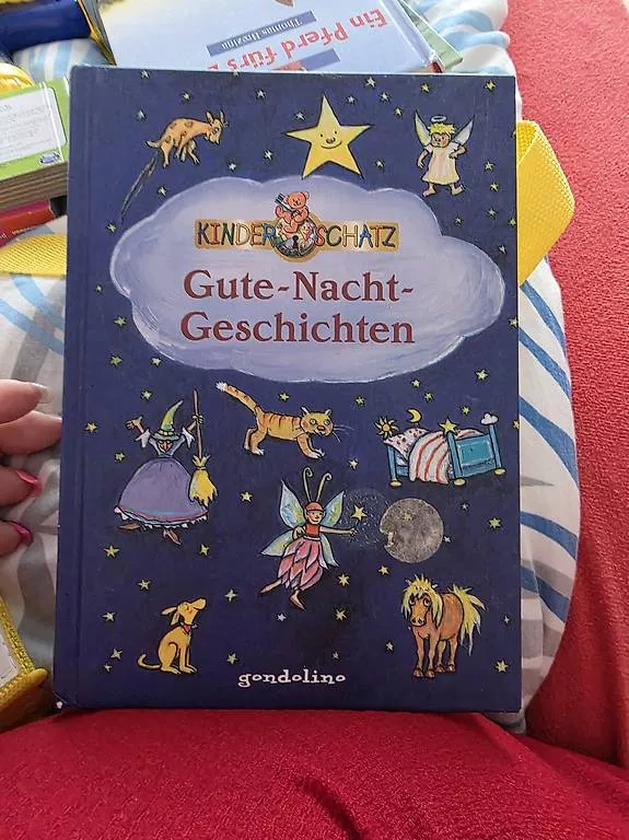 Libri: Bücher divers 2 – Usato da Safenwil venduto da Brumanu01 3