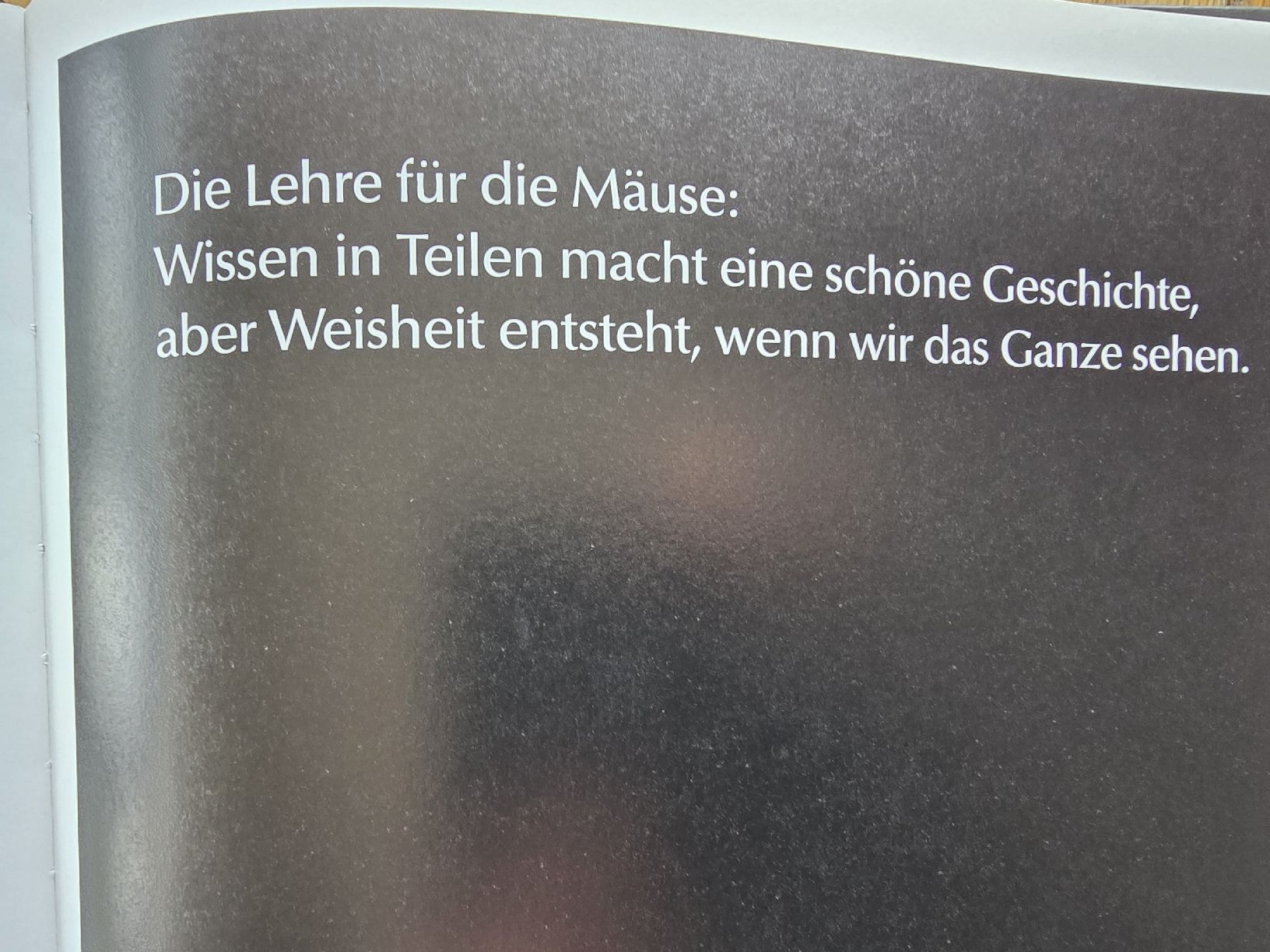 Bücher: YouTube 7 blinde Mäuse – Gebraucht aus Hedingen von mickway 2